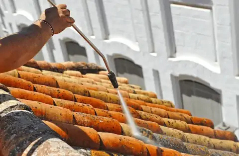 Nettoyage de toitures - Notre-Dame-de-Londres